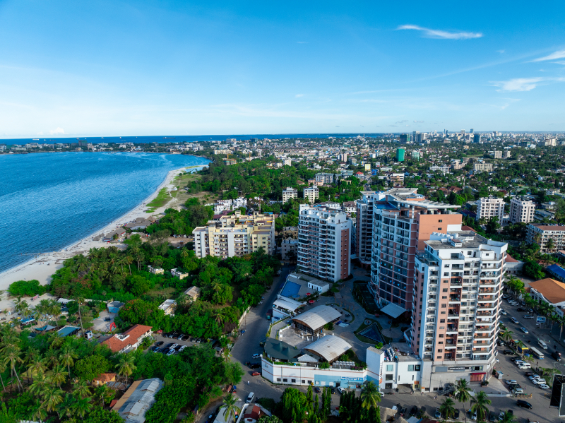 Palm Village Day View