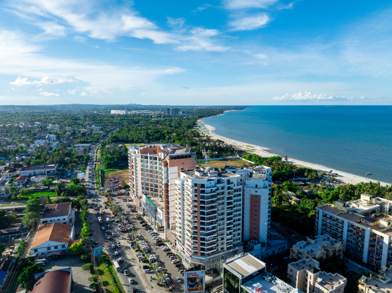 Palm Village Day View