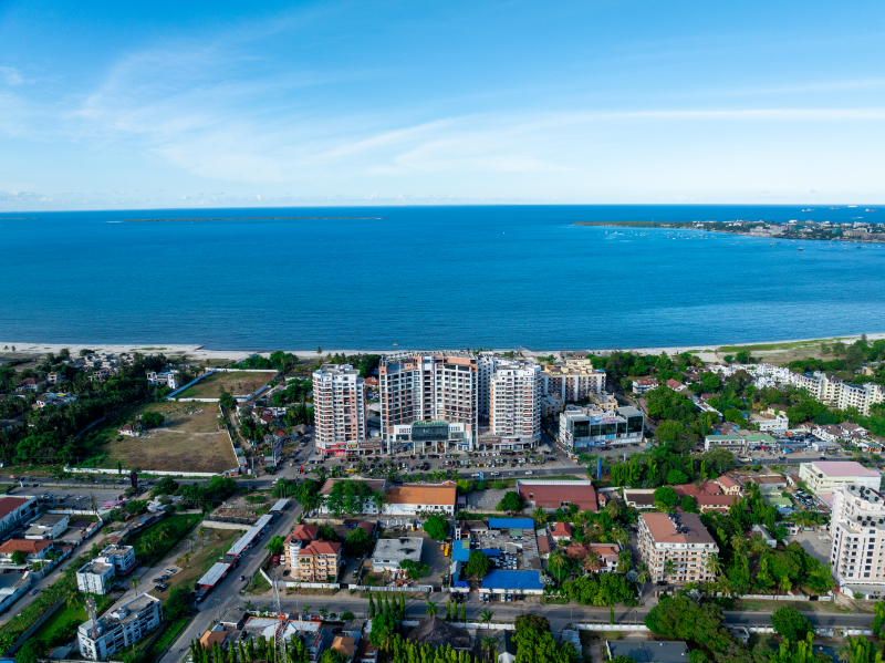 Palm Village Day View