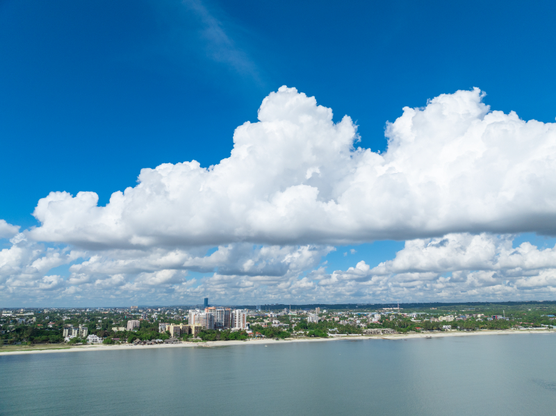 Palm Village Day View